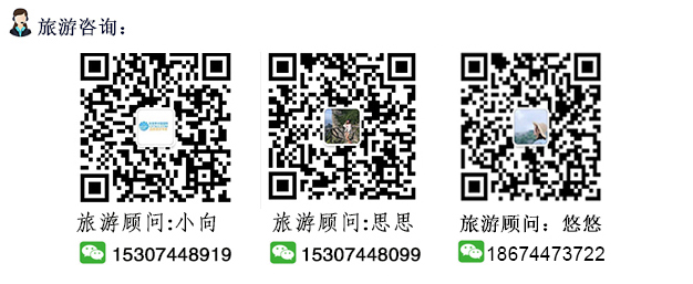 张家界跟团游,张家界自由行,张家界自驾游,张家界中国国际旅行社有限公司 张家界跟团游,张家界自由行,张家界自驾游,张家界中国国际旅行社有限公司