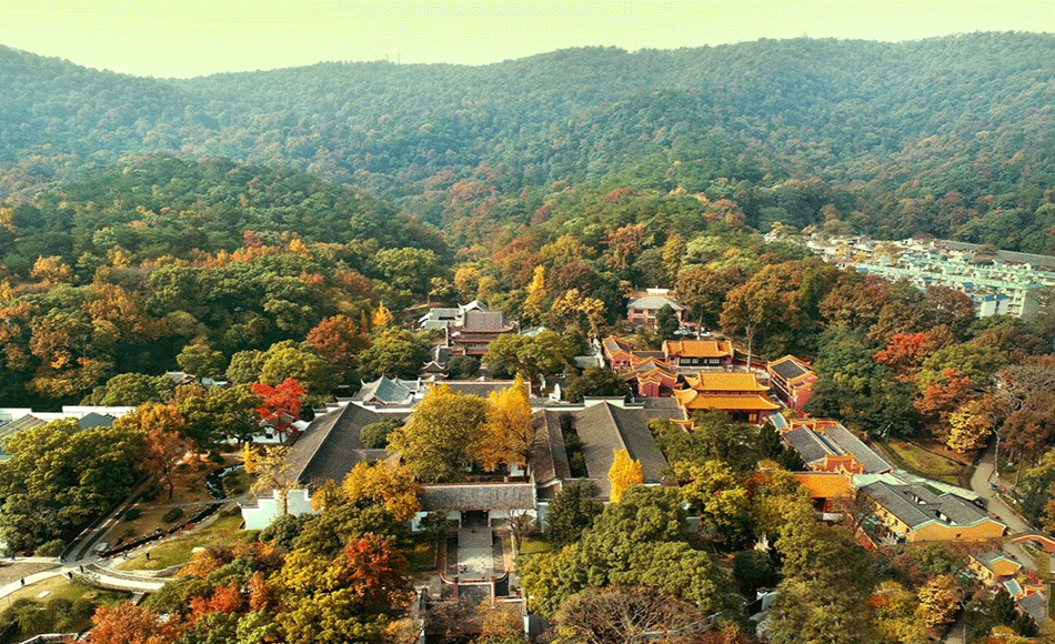 张家界跟团游,张家界旅游攻略5天自由行,张家界自驾游,张家界旅游路线攻略,张家界中国国际旅行社