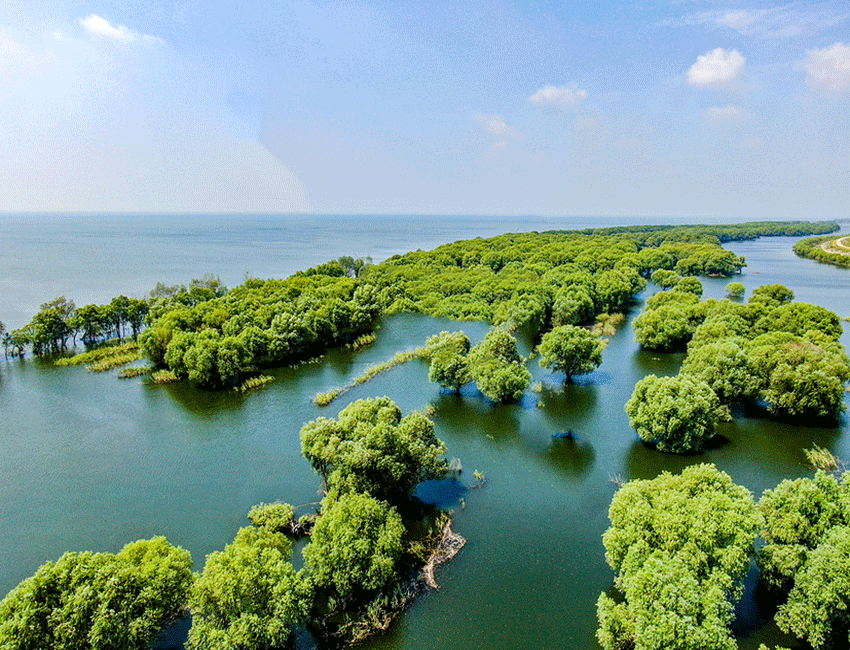 张家界跟团游,张家界旅游攻略5天自由行,张家界自驾游,张家界旅游路线攻略,张家界中国国际旅行社