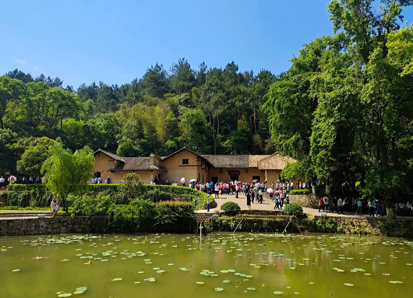 张家界跟团游,张家界旅游攻略5天自由行,张家界自驾游,张家界旅游路线攻略,张家界中国国际旅行社